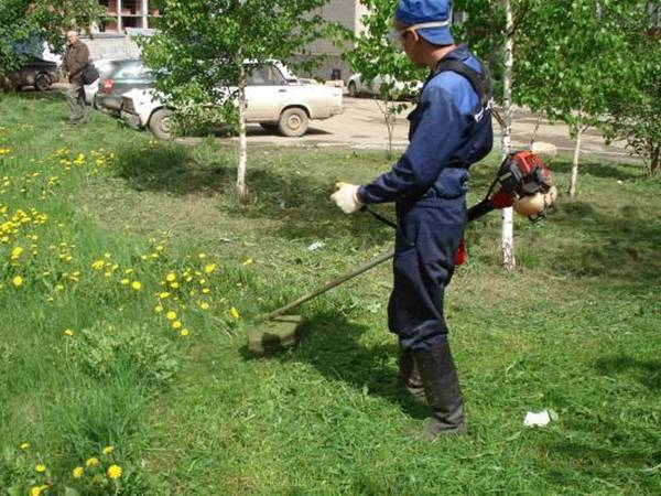 На покос травы в Новочеркасске выделили 4 миллиона рублей