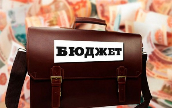 Биотуалеты, отлов собак и вывоз свалок: в Новочеркасске приняли бюджет на 2020 год