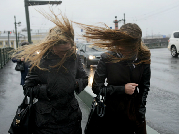 Обрушившийся на Новочеркасск ураганный ветер оставил без электричества более тысячи горожан