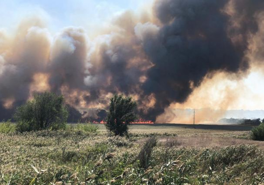 В Новочеркасске площадь ландшафтного пожара увеличилась в несколько раз