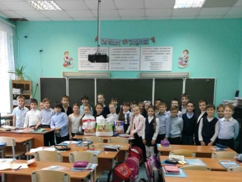 Ученики школы № 14 Новочеркасска собрали гуманитарную помощь для собачьего приюта