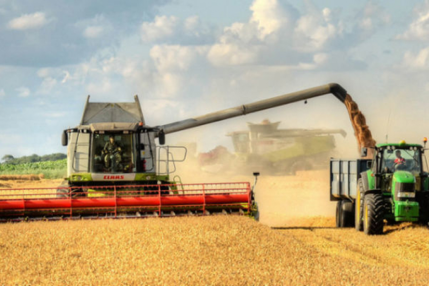 В Октябрьском сельском районе уже собрано 65,3 % от планового объема зерна