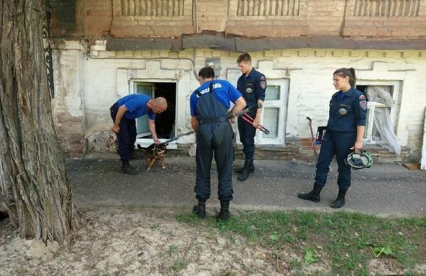В Новочеркасске освободили из заточения отощавших щенка и котят