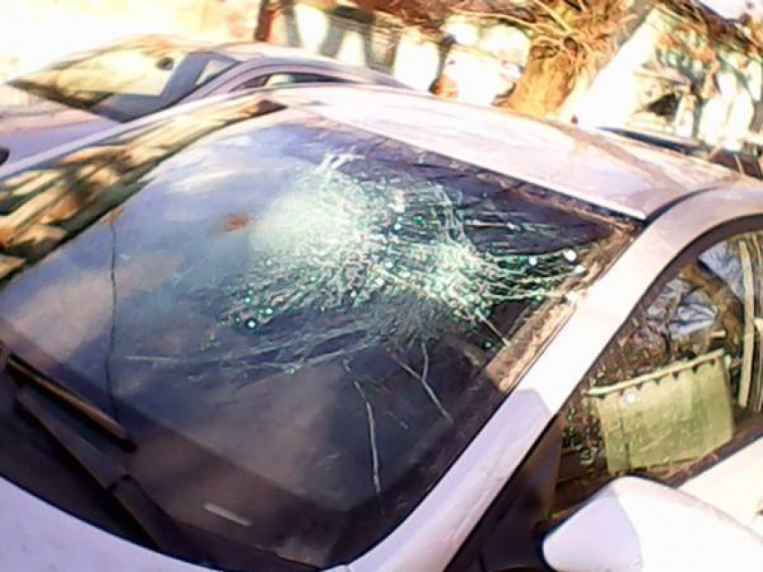 В Новочеркасске на движущийся автомобиль упала большая ветка