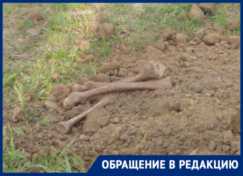 «От увиденного мурашки по коже», - новочеркасцы