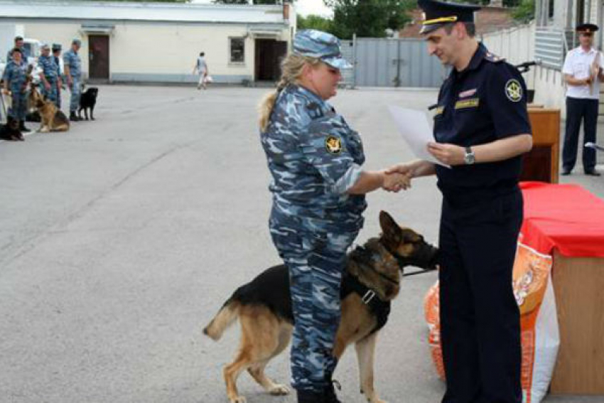 Кинолог из Новочеркасска победила в областных соревнованиях