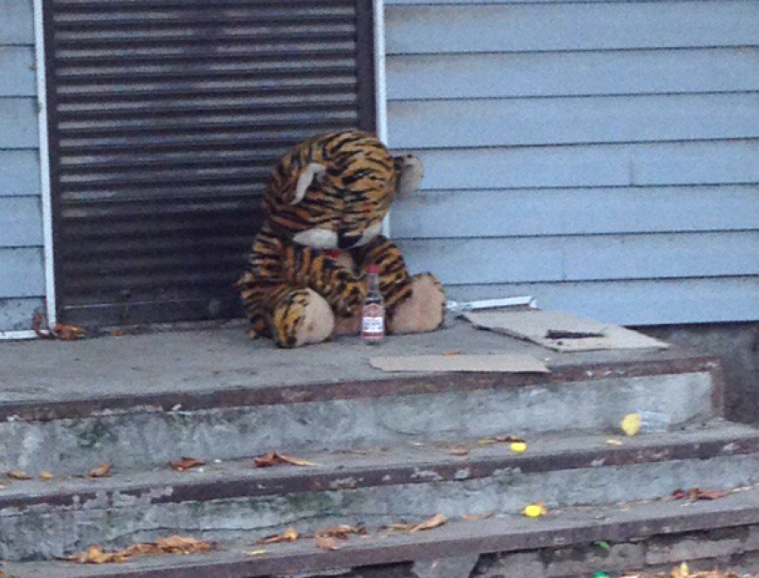 Тигр обитает на одной из центральных улиц Новочеркасска