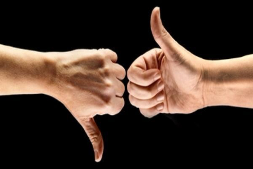 Новочеркассцы осудили новое общественное движение