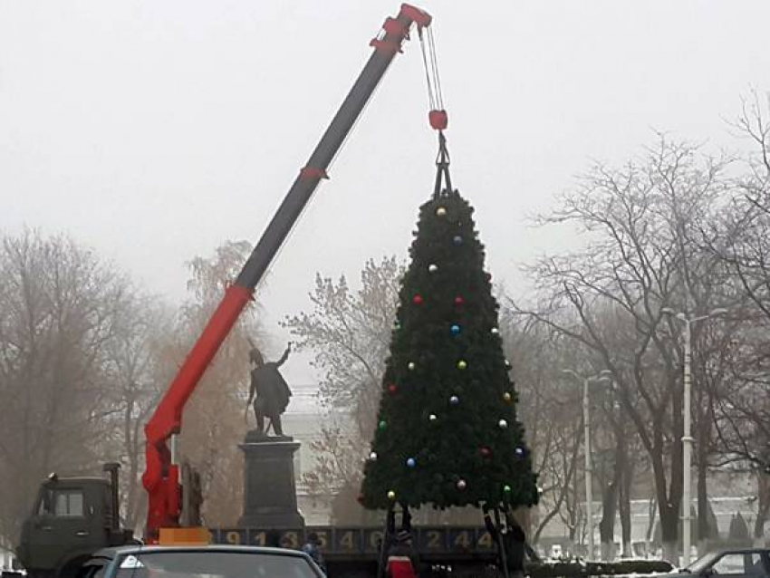 В Новочеркасске установили главную городскую елку