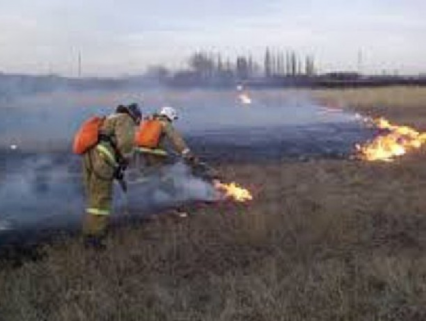 Возгорание сухой травы около гипермаркета произошло в микрорайоне Октябрьский в Новочеркасске