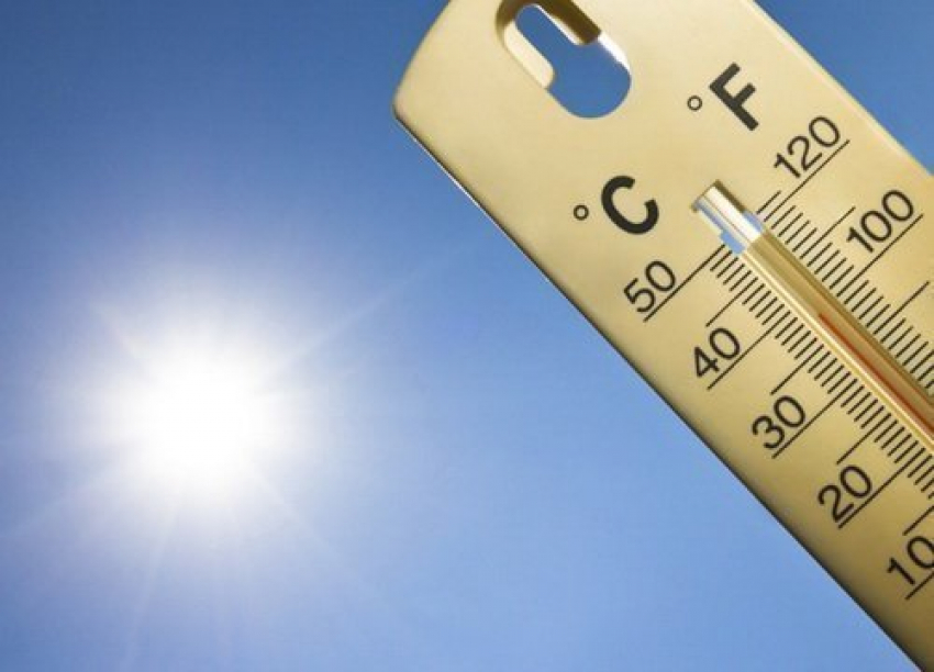 В Новочеркасске ожидается аномальная жара