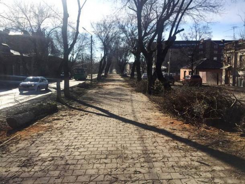 В Новочеркасске подрядчика по опиловке деревьев привлекут к административной ответственности
