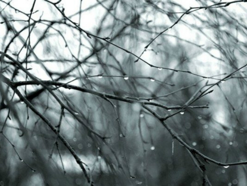 Затянутое тучами небо и дождь ожидают жителей Новочеркасска на выходных