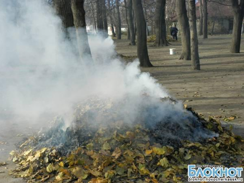 За сжигание листвы и мусора на территории Новочеркасска можно получить штраф в 2000 рублей