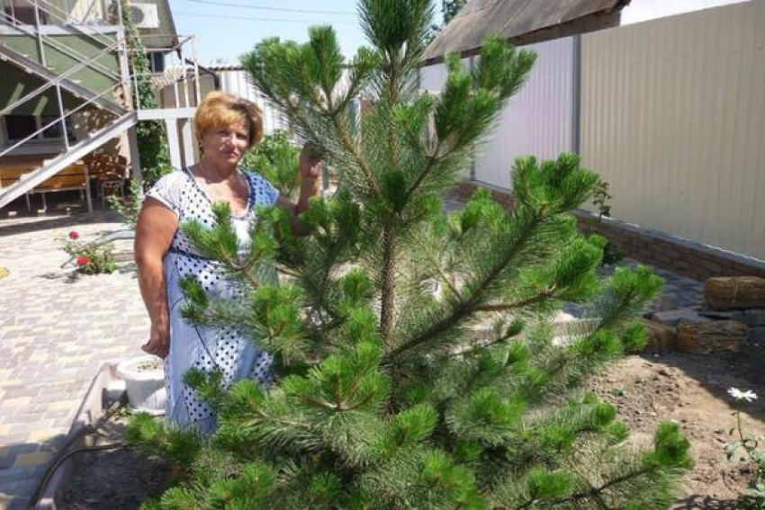 Косякову Ирину с днем рождения поздравляют дети и внучки