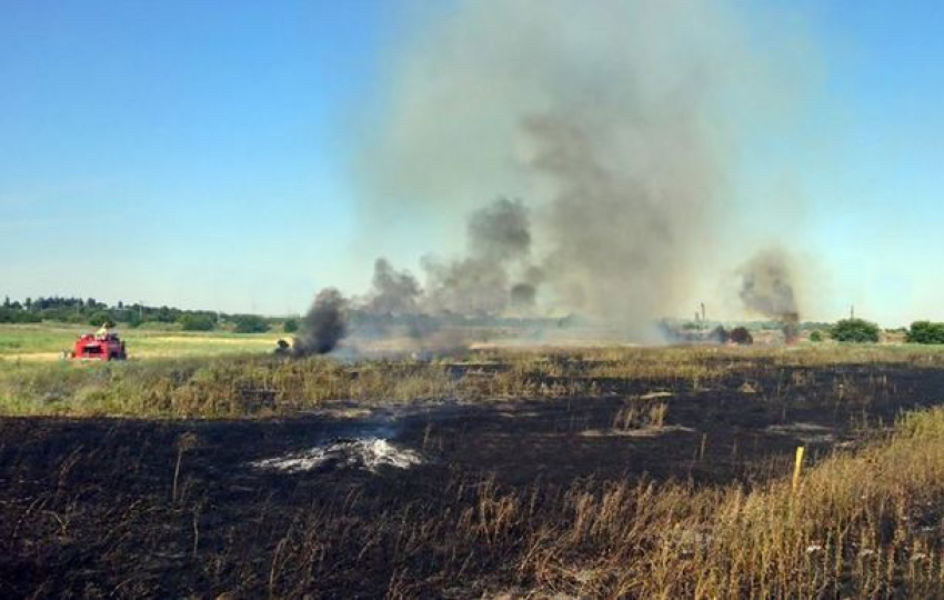 В Новочеркасске четыре пожарных расчета тушили ландшафтный пожар
