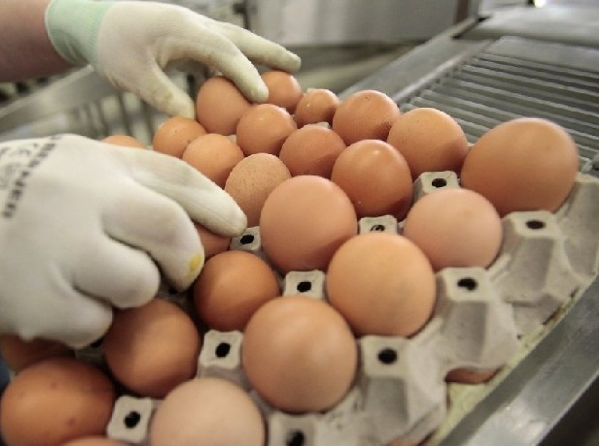 23 десятка яиц без документов нашли в детском саду Новочеркасска