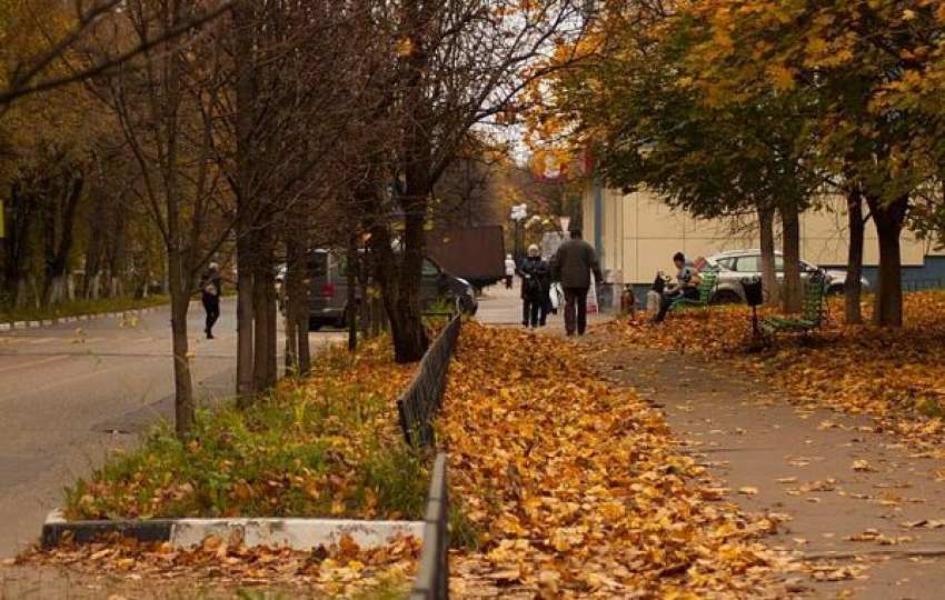 Первая рабочая неделя ноября в Новочеркасске будет теплой