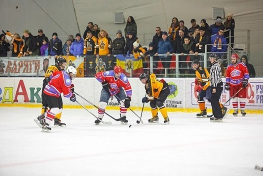 Новочеркасские хоккеисты сыграли первый матч в финальных играх НХЛ