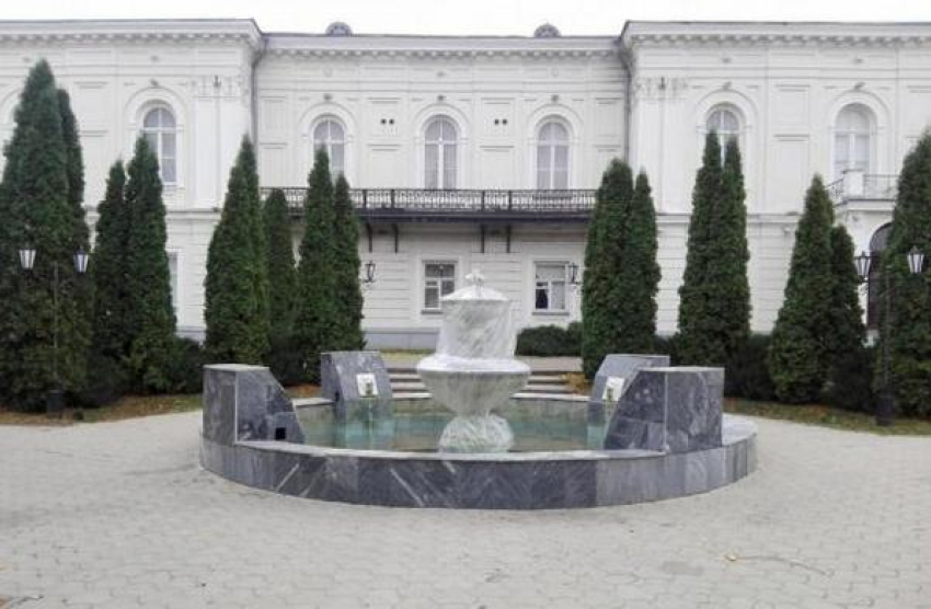 Жители Новочеркасска спасли провалившуюся в фонтан собаку 