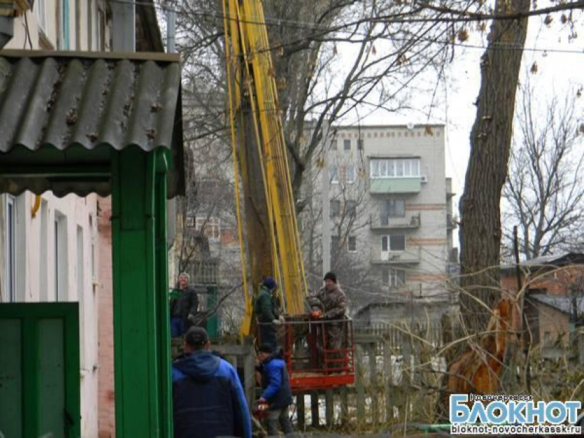 На улице Каштановой в Новочеркасске упало очередное дерево
