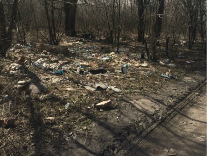 Жители микрорайона Хотунок Новочеркасска гуляют с детьми лавируя среди ям и гор мусора