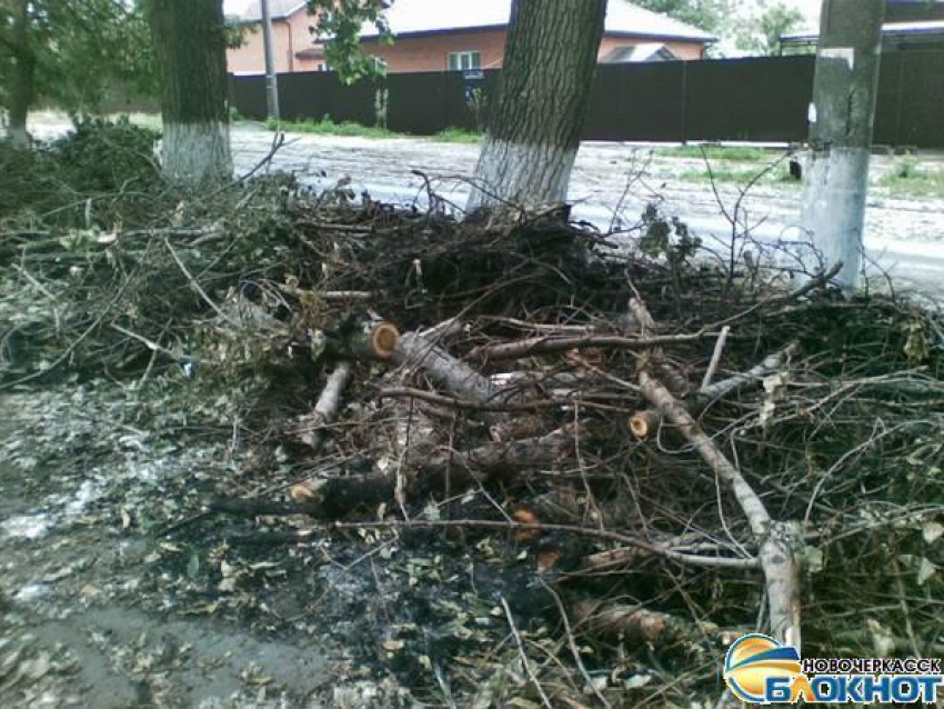 В Новочеркасске возле школы уже месяц лежат спиленные ветки