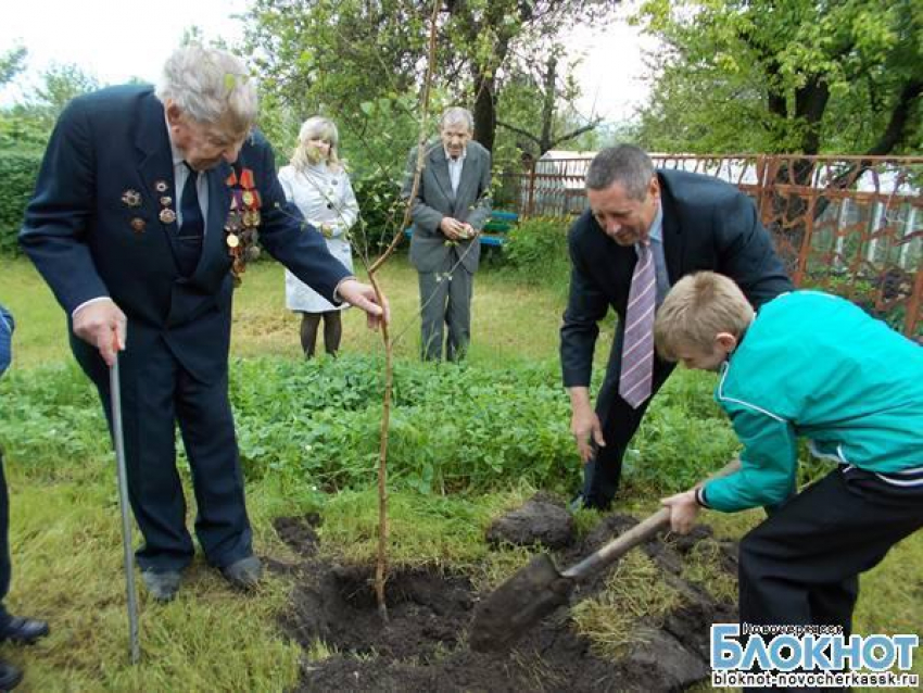 В Новочеркасске ветеран войны посадил первое именное дерево в городе