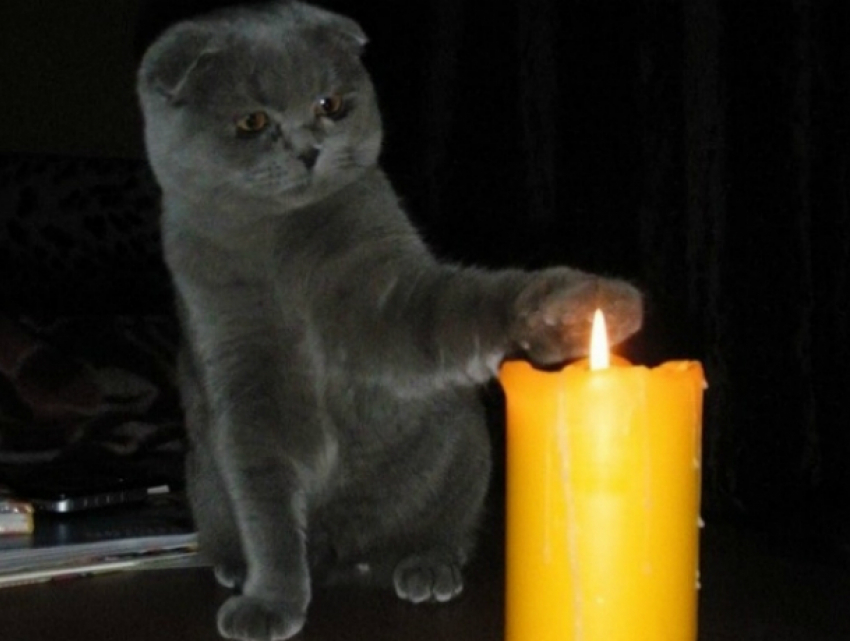 Сегодня, 27 марта, в Новочеркасске будут отключать электричество