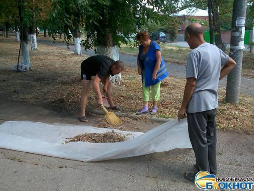 Сквер на площади Чапаева в Новочеркасске привели в порядок после неудачного субботника