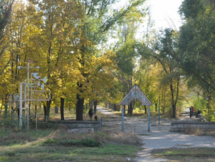 Новочеркасцы активно включились в обсуждение проекта «Комфортная городская среда»