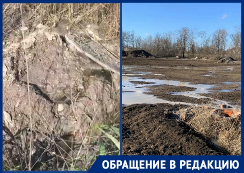 «Больше года фекалии заливают поле вблизи жилых домов», - житель Новочеркасска