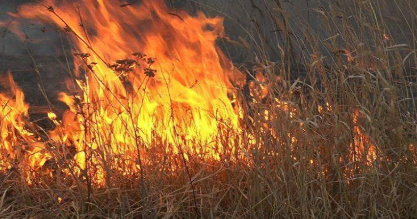 В Новочеркасске произошел крупный ландшафтный пожар 