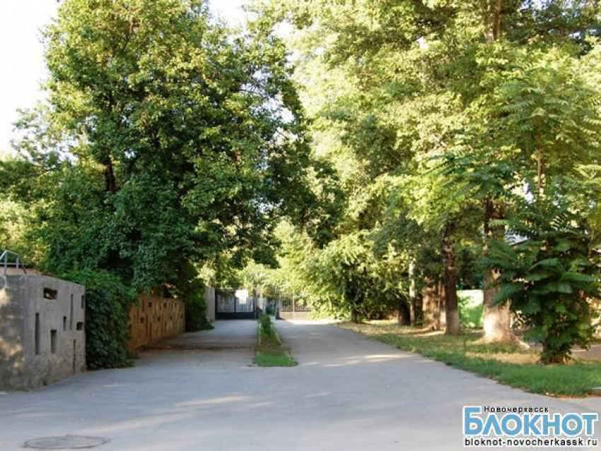 Акробаты Новочеркасска решили привести детский парк в порядок