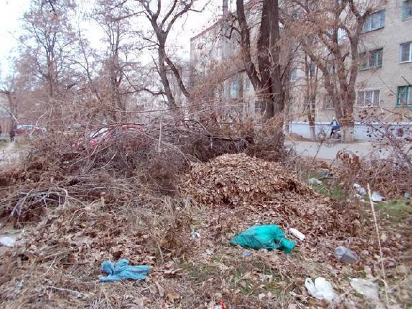Жители Новочеркасска на улице Энгельса организовали стихийную свалку